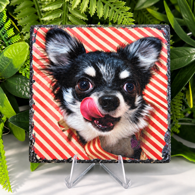 Custom Printed Square Pet Slate