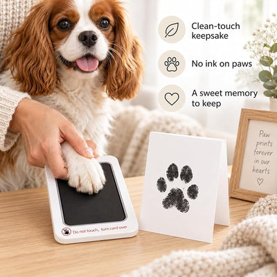 Pet Paw Print Ink Pad