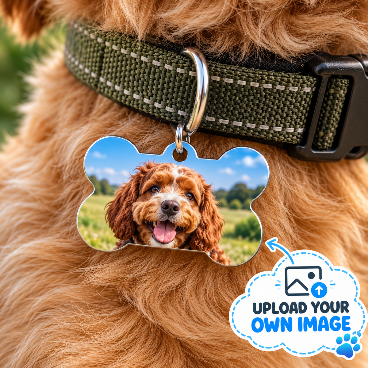 Custom Bone Pet ID Tag – Upload Your Own Image