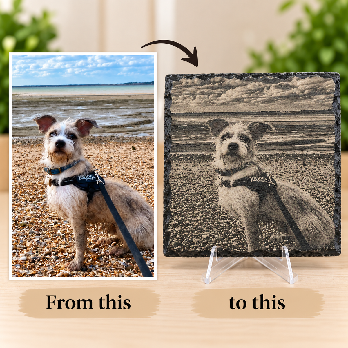 Custom Engraved Square Pet Slate