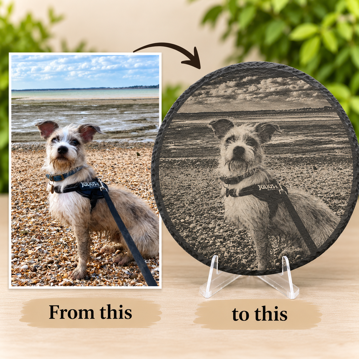 Custom Engraved Round Pet Slate